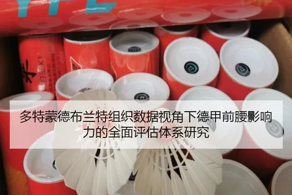 多特蒙德布兰特组织数据视角下德甲前腰影响力的全面评估体系研究