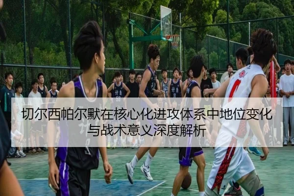 切尔西帕尔默在核心化进攻体系中地位变化与战术意义深度解析